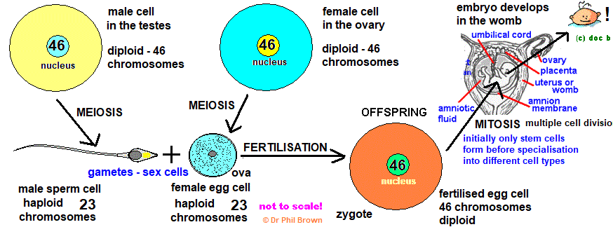 GCSE biology Modern developments in evolution theory in biology ...
